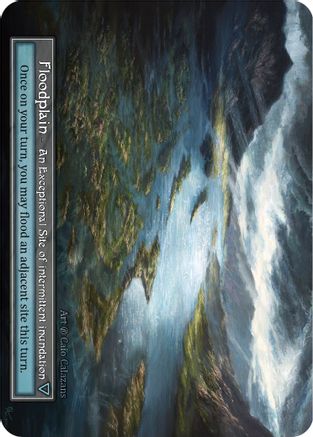 Floodplain (Foil) - Beta Foil