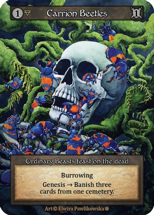 Carrion Beetles - Gothic