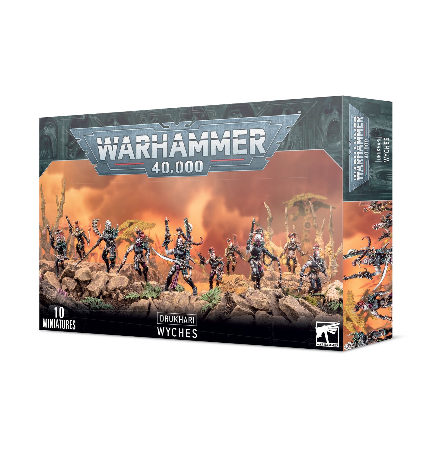 45-08 Drukhari Wyches