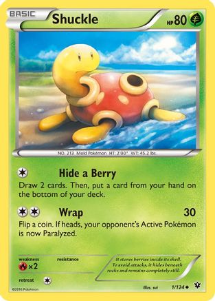 Shuckle (1/124) [XY: Fates Collide] Reverse Holofoil