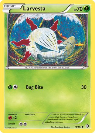 Larvesta (14/114) [XY: Steam Siege] Reverse Holofoil