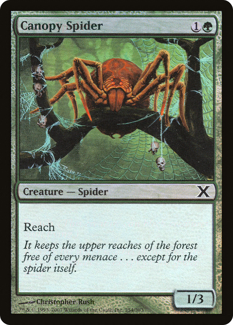 Canopy Spider  [Tenth Edition] Foil