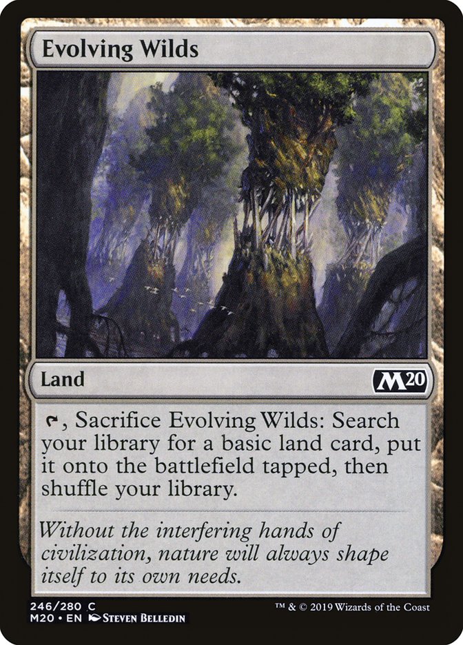 Evolving Wilds [Core Set 2020] Foil