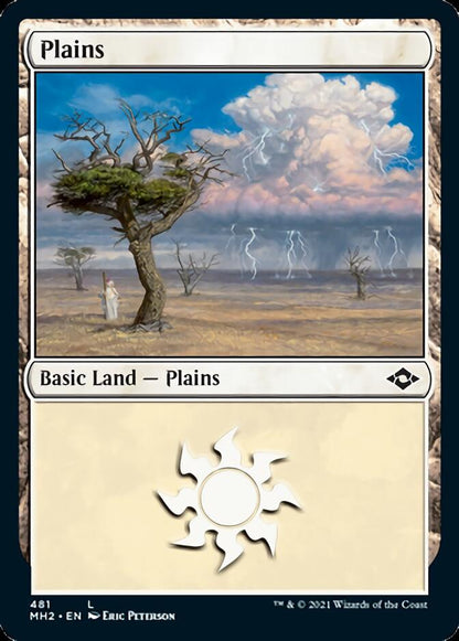 Plains (481) [Modern Horizons 2] Foil