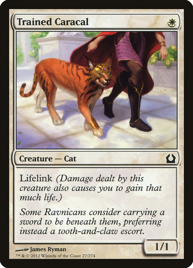 Trained Caracal [Return to Ravnica] Foil