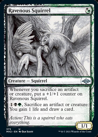 Ravenous Squirrel (Sketch) [Modern Horizons 2] Foil