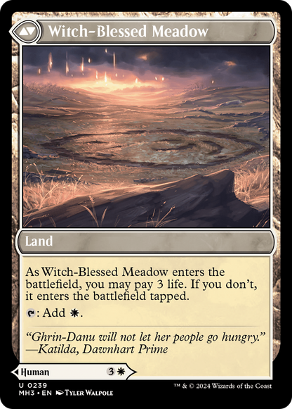 Witch Enchanter // Witch-Blessed Meadow [Modern Horizons 3] Foil