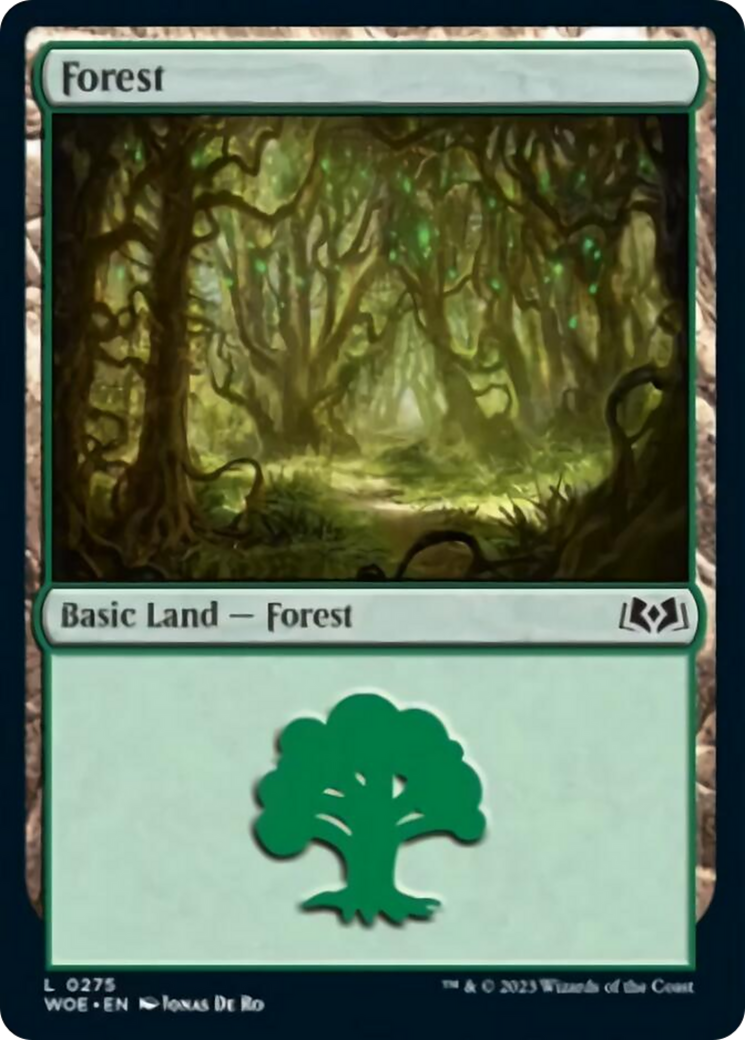 Forest (0275) [Wilds of Eldraine] Foil