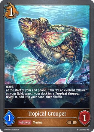 Tropical Grouper