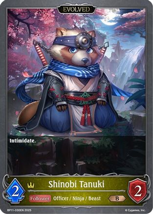 Shinobi Tanuki (Evolved)