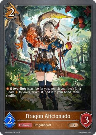Dragon Aficionado