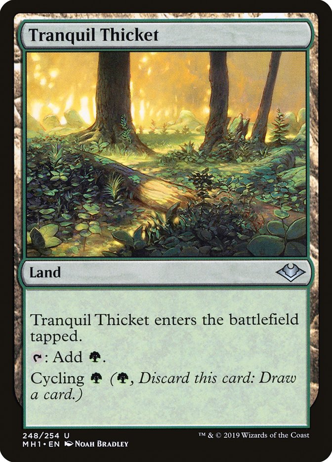 Tranquil Thicket [Modern Horizons] Foil