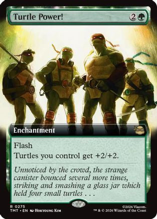 Turtle Power! (Extended Art)  [Teenage Mutant Ninja Turtles]