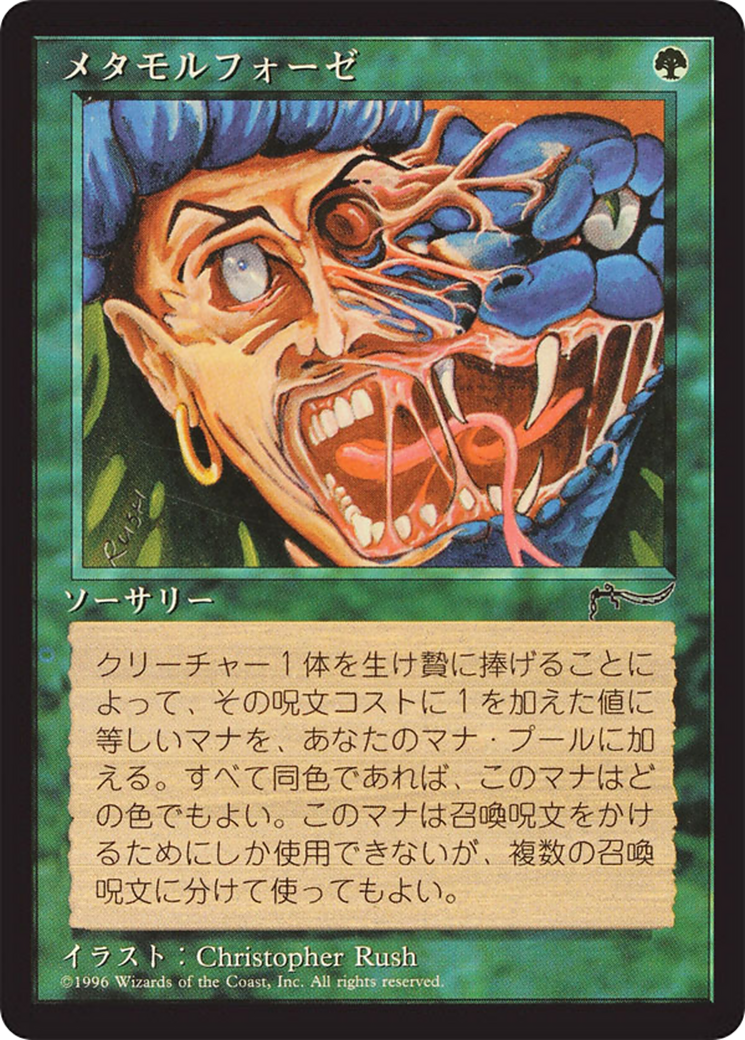 Metamorphosis  [Chronicles Foreign Black Border]