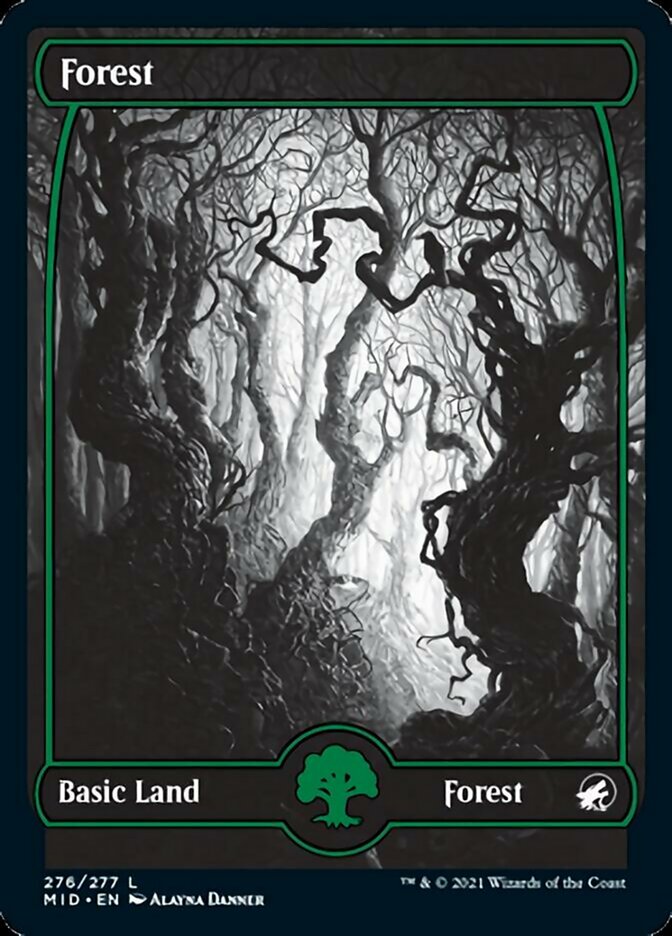 Forest (276) [Innistrad: Midnight Hunt] Foil