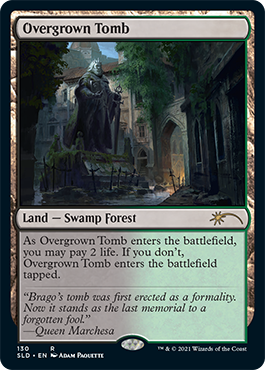 Overgrown Tomb [Secret Lair Drop Series]