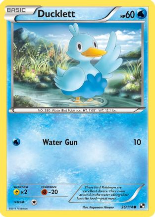 Ducklett (36/114) [Black & White: Base Set] Reverse Holofoil