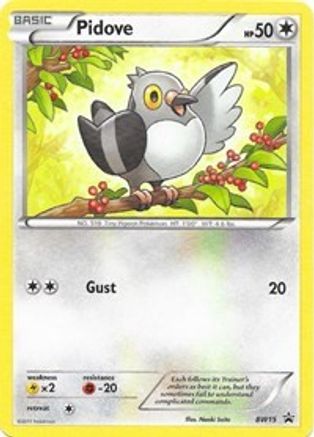 Pidove (BW15) [Black & White: Black Star Promos] Holofoil