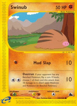 Swinub (108/144) [Skyridge] Reverse Holofoil
