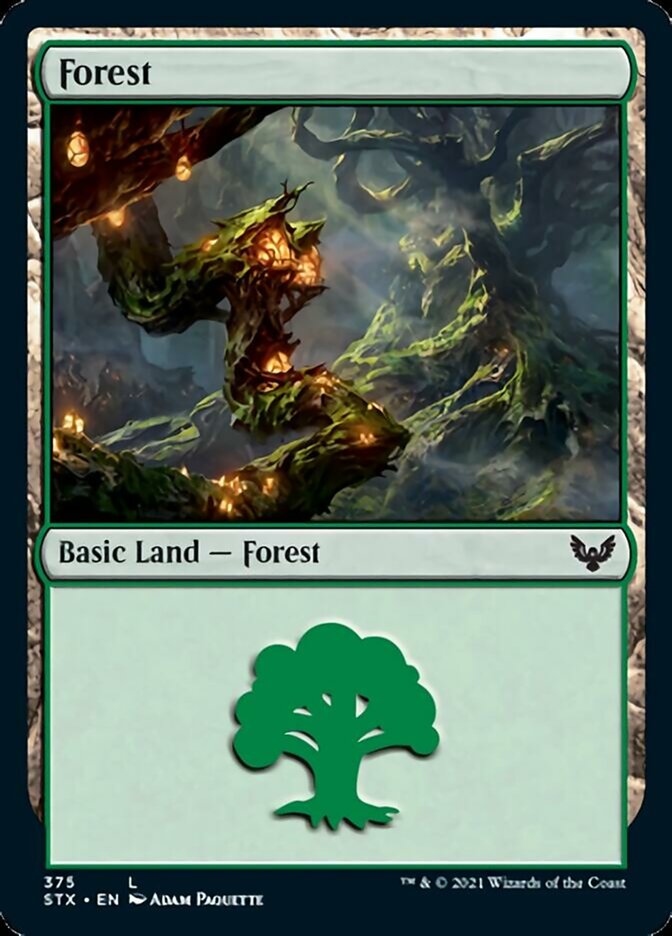 Forest (375) [Strixhaven: School of Mages] Foil