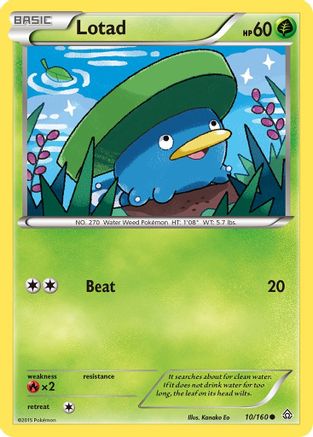 Lotad (10/160) [XY: Primal Clash] Reverse Holofoil