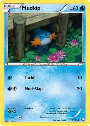 Mudkip (33/160) [XY: Primal Clash] Reverse Holofoil