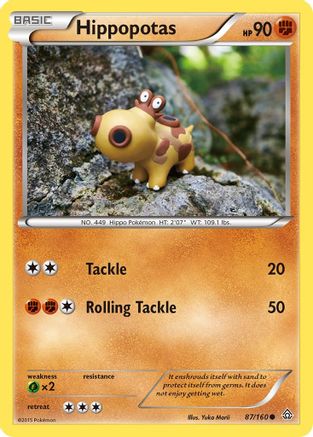 Hippopotas (87/160) [XY: Primal Clash] Reverse Holofoil