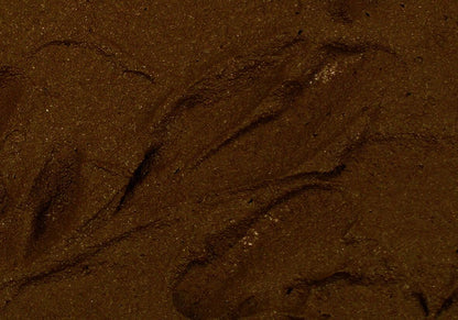 Vallejo Diorama FX Earth Textures Brown Earth 200ml