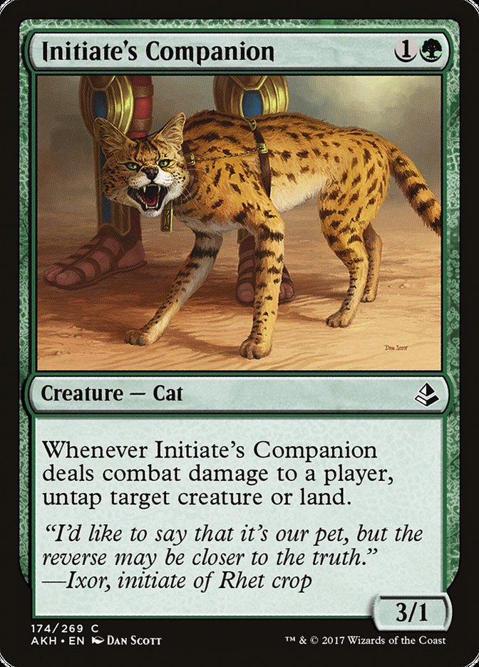 Initiate's Companion [Amonkhet] Foil