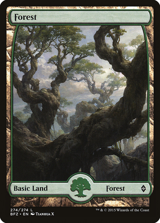 Forest (274) (Full Art) [Battle for Zendikar] Foil