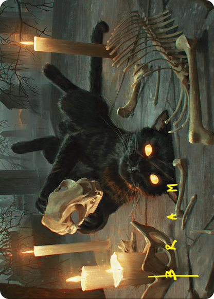 Nine-Lives Familiar // Nine-Lives Familiar  [Foundations Art Series] (Borderless)