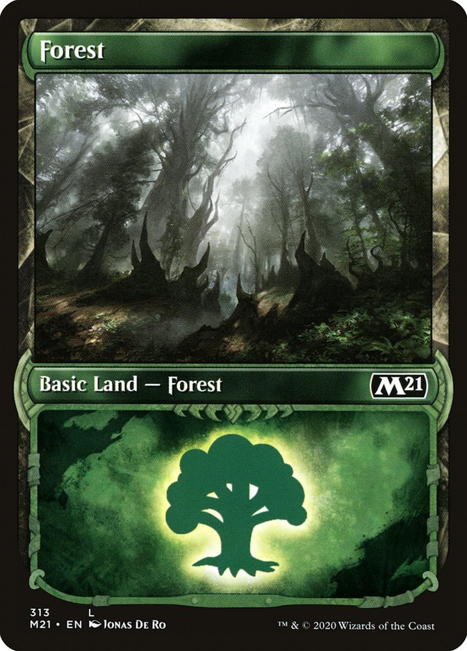 Forest (313) (Showcase) [Core Set 2021] Foil