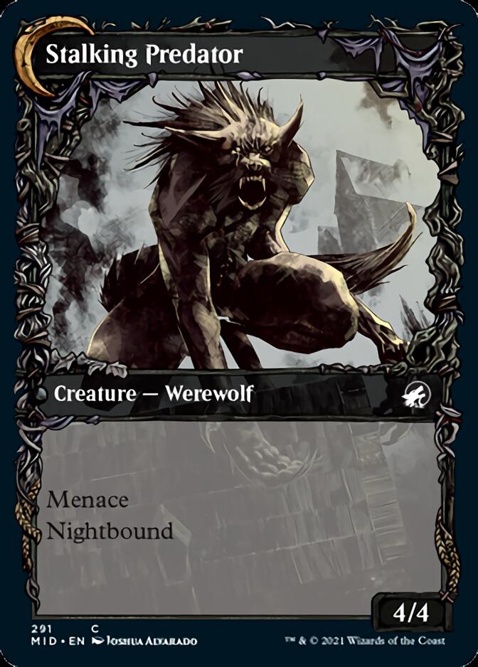 Shady Traveler // Stalking Predator (Showcase Equinox) [Innistrad: Midnight Hunt] Foil