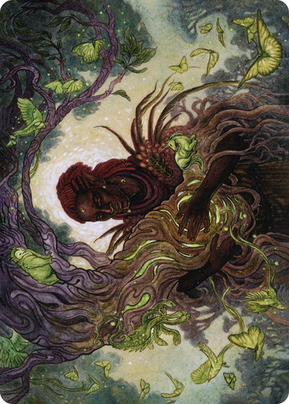 Circle of Dreams Druid // Circle of Dreams Druid  [Adventures in the Forgotten Realms Art Series] (Borderless)