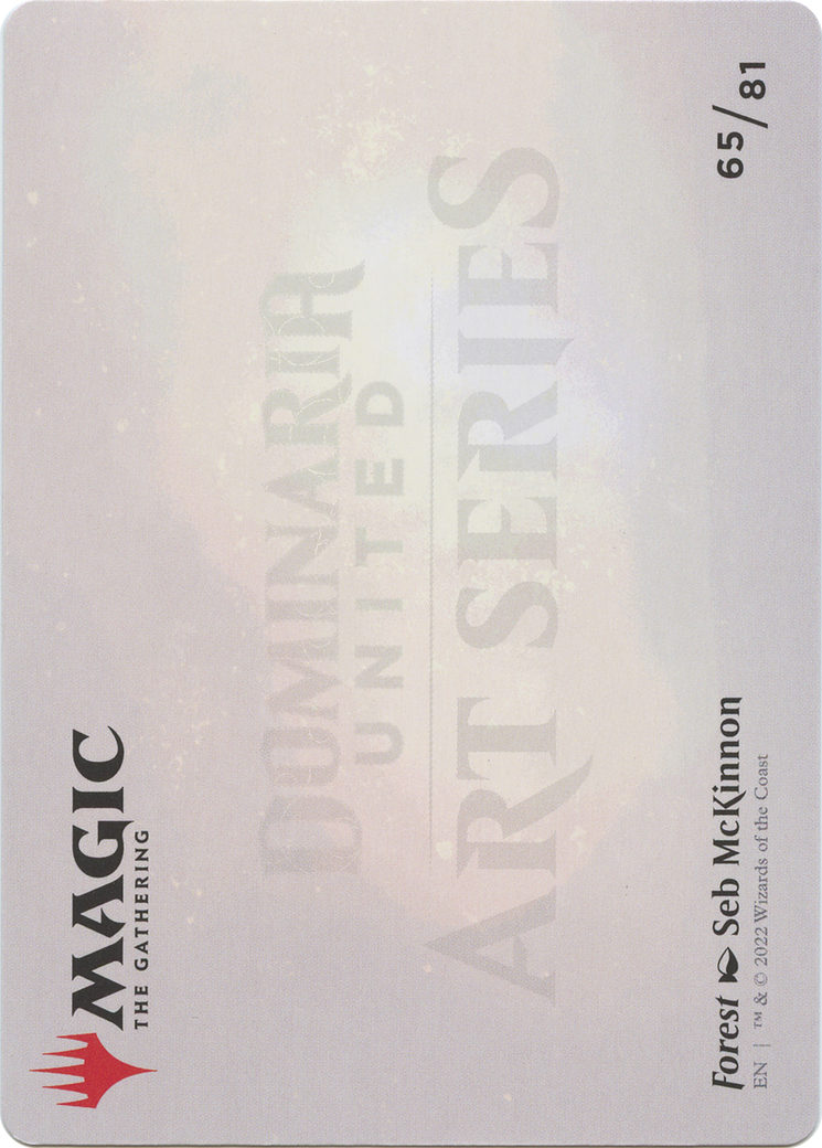 Forest // Forest  [Dominaria United Art Series] (Borderless) Foil