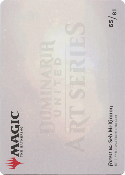 Forest // Forest  [Dominaria United Art Series] (Borderless) Foil