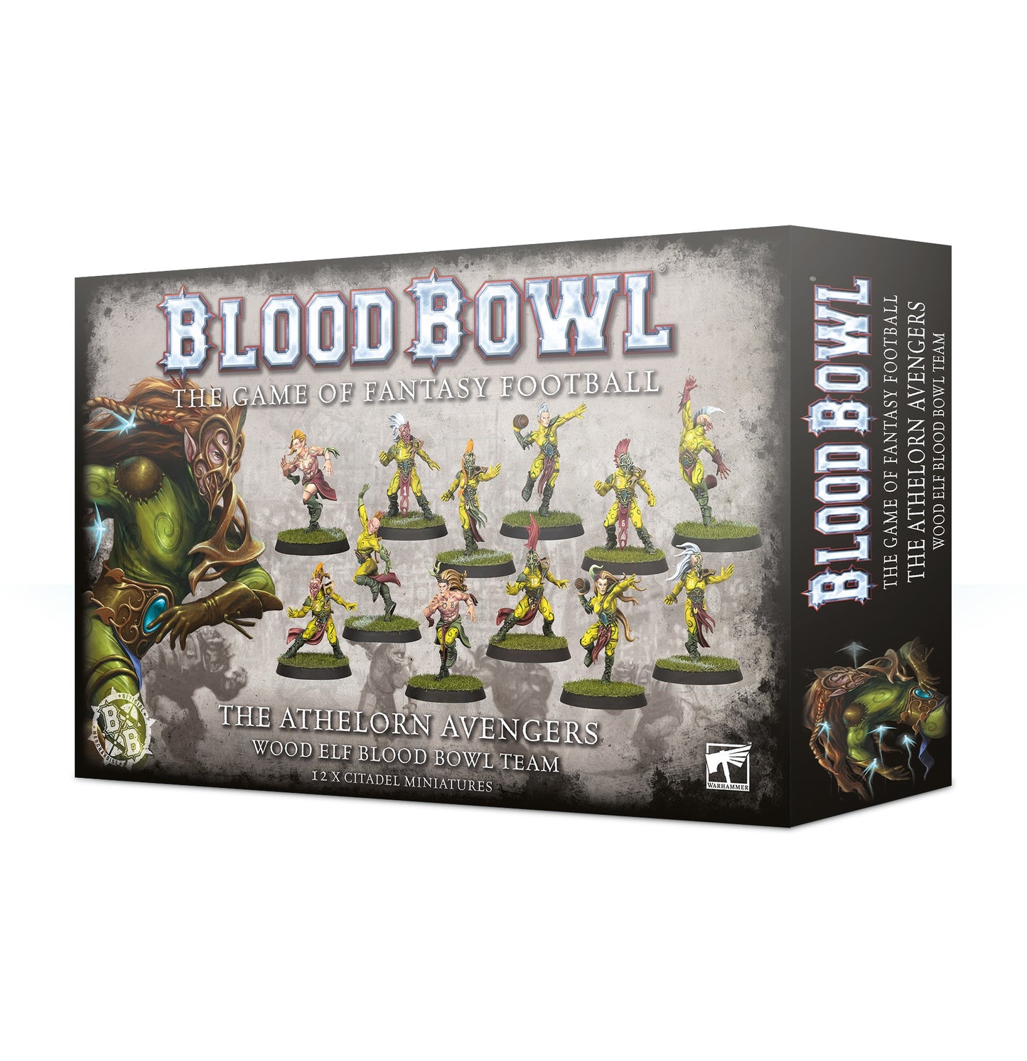 200-66 Blood Bowl: Wood Elf Team